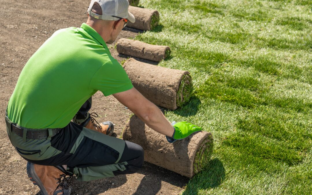 Installing Sod 101